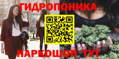 спайс Кинель
