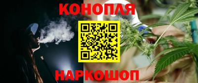 2c-b Кингисепп
