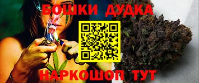 2c-b Кингисепп
