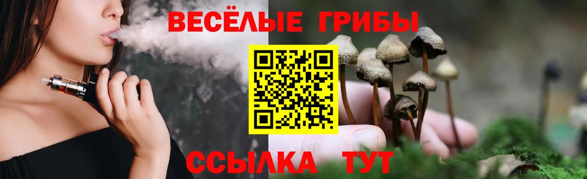 Псилоцибиновые грибы MAGIC MUSHROOMS  Вход с VPN  Алатырь 